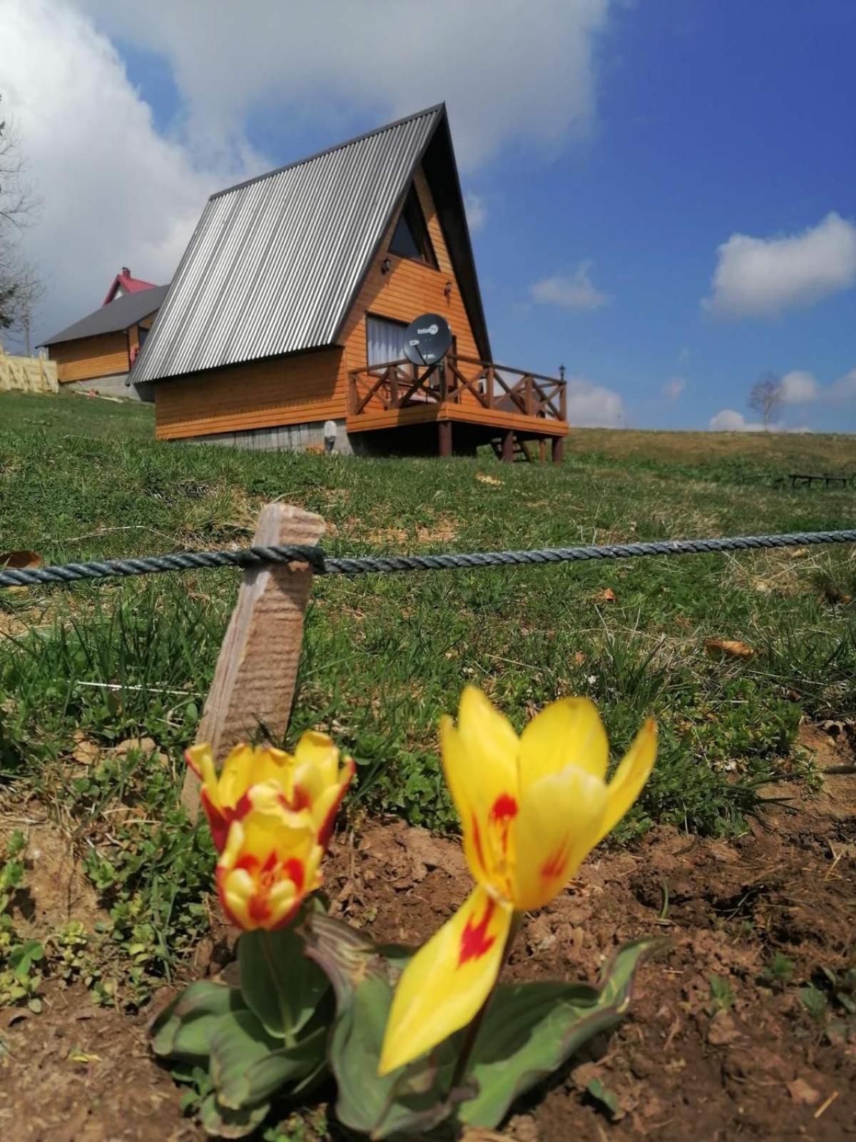 Koliba Luca Smrcevo Brdo Villa Zabljak  Exterior photo